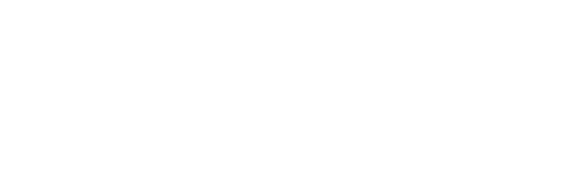 Logo Puls Puls2